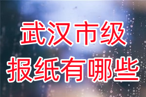 武漢市級報紙有哪些