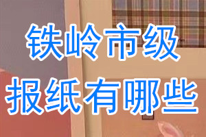 鐵嶺市級(jí)報(bào)紙有哪些